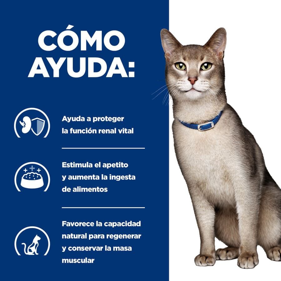 12 sobres x 85 g Hill's Prescription k/d Diet Kidney Care Salm&oacute;n sobre en salsa para gatos, , large indicador imagen numero 5